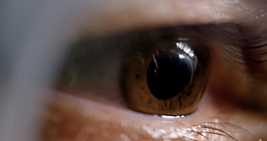 Eyeball illustrating saccades in The Cinema Within documentary