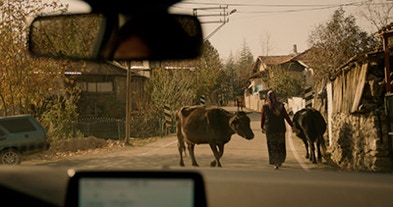 Rural Turkey in The Cinema Within documentary